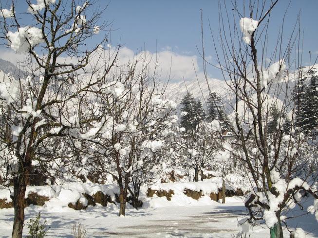 Treebo Trend Celebriti Manali Hotell Vashist Eksteriør bilde