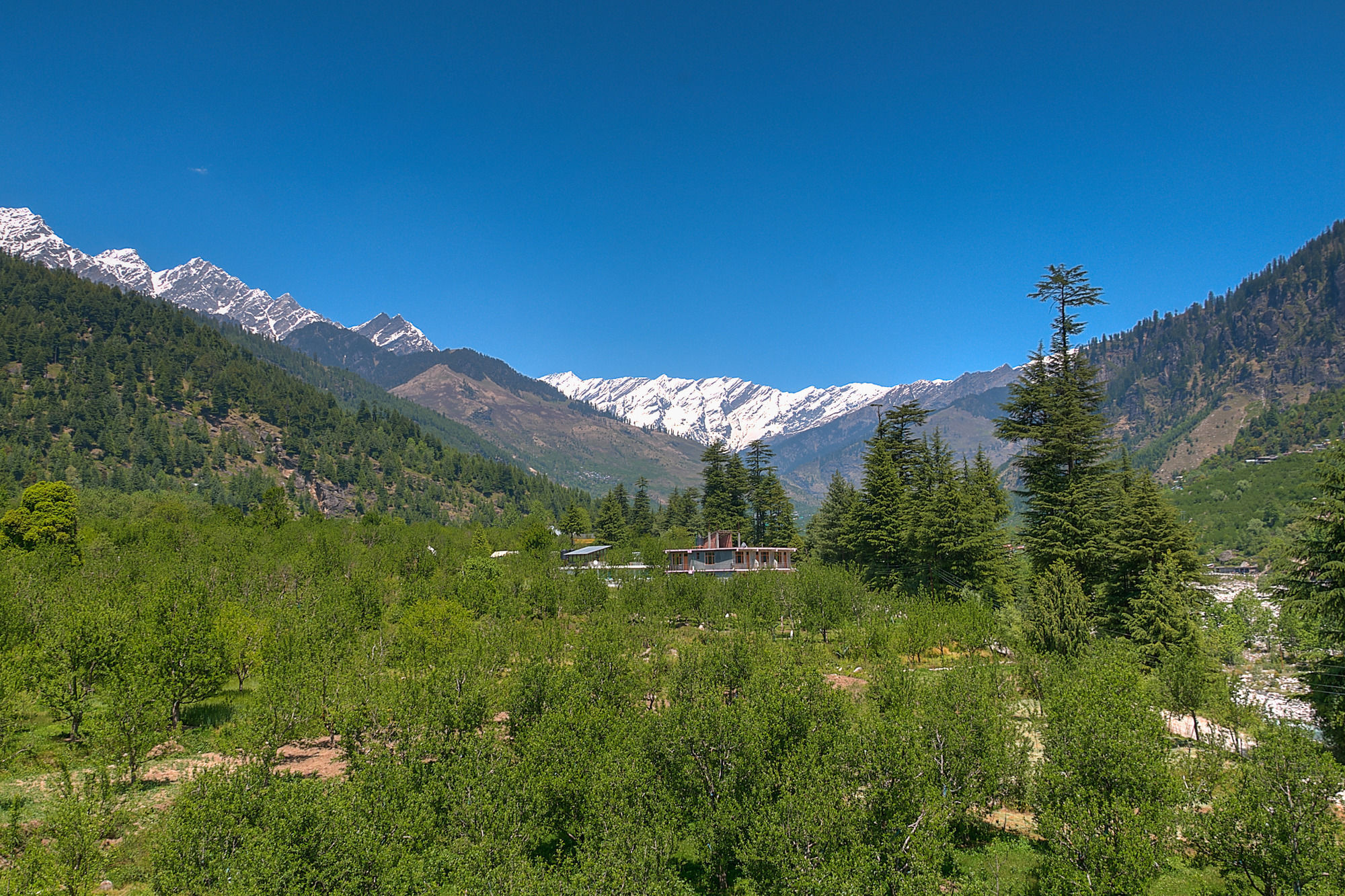 Treebo Trend Celebriti Manali Hotell Vashist Eksteriør bilde